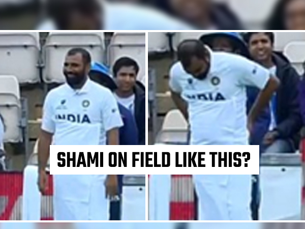 Shami