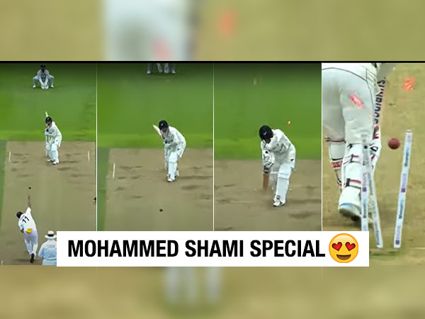 WATCH Mohammed Shami rattles BJ Watling'