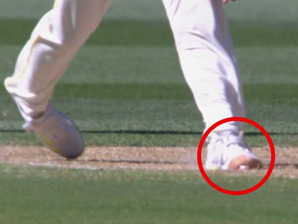 Web-Image-Sports-Tiger-14s