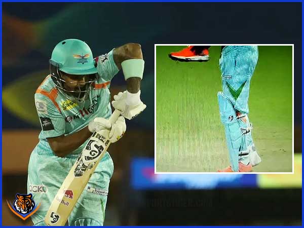 KL Rahul web ST