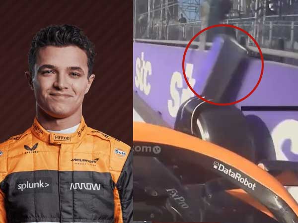 Lando-Norris-sportstiger