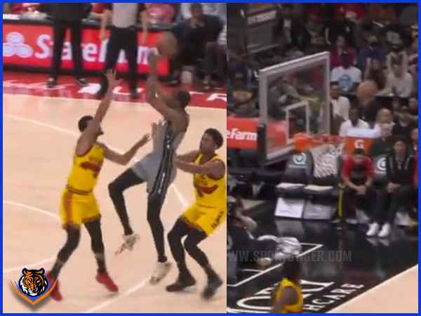 nba-sportstiger