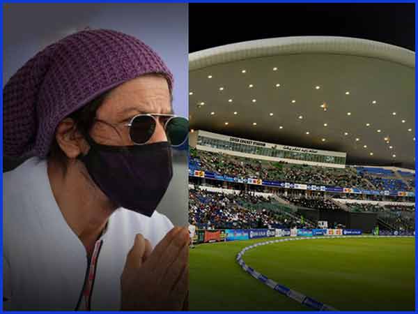 SRK-sportstiger