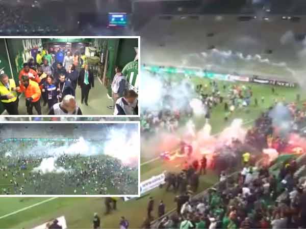 Saint Etienne - sportstiger