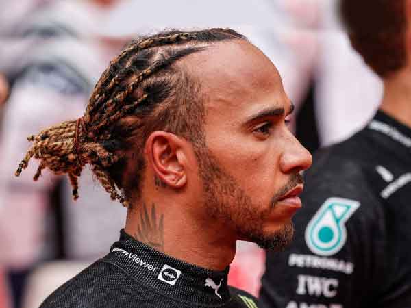 Hamilton web ST