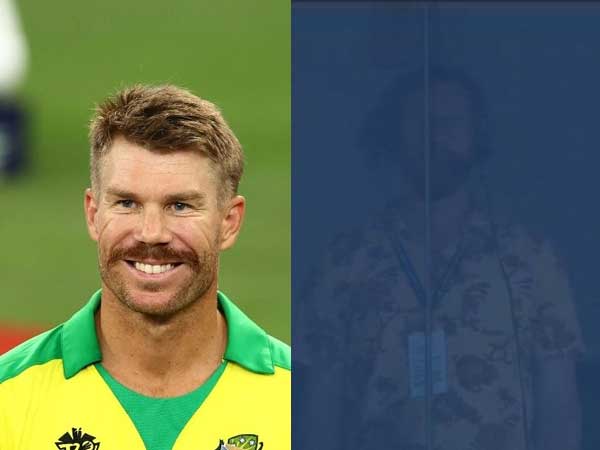 David-Warner-sportstiger (2)