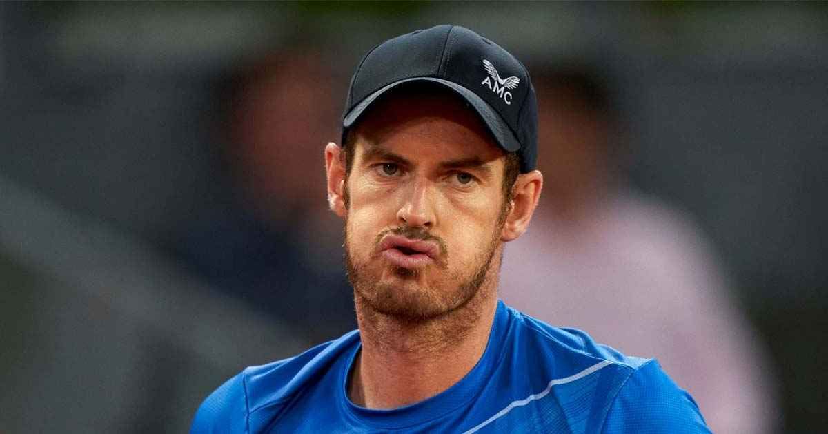 andy murray sportstiger