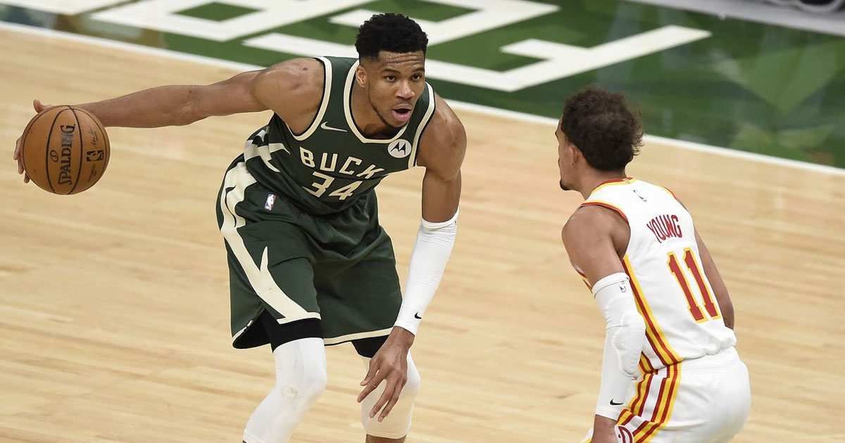 bucks hawks sportstiger