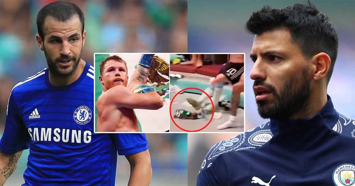 cesc-fabregas-sergio-aguero-sportstiger
