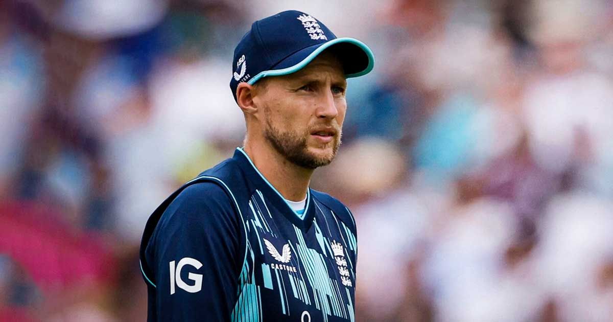 joe root sportstiger
