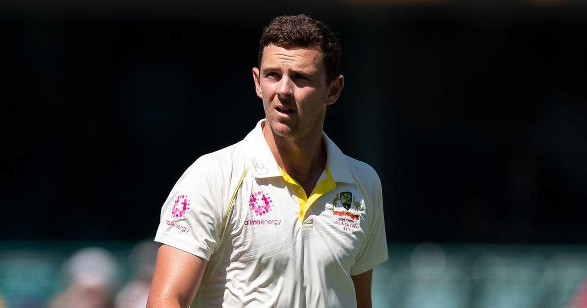 josh hazlewood sportstiger