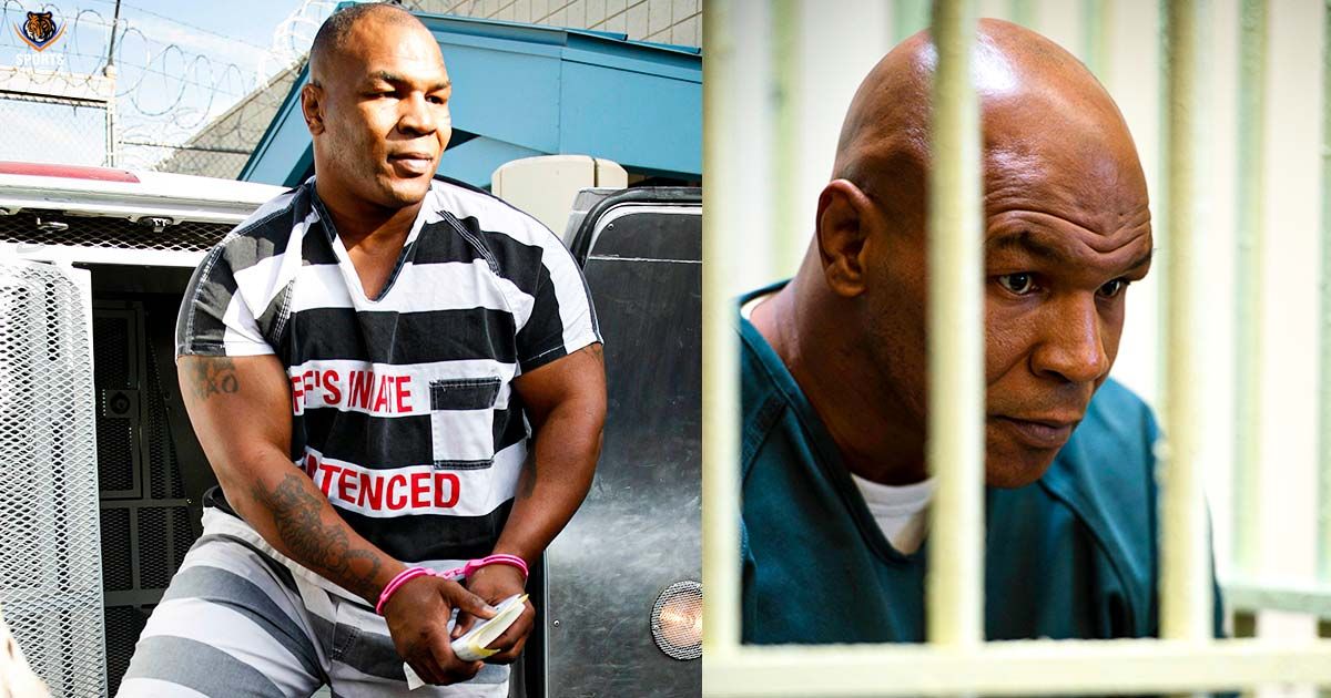 mike tyson2 sportstiger
