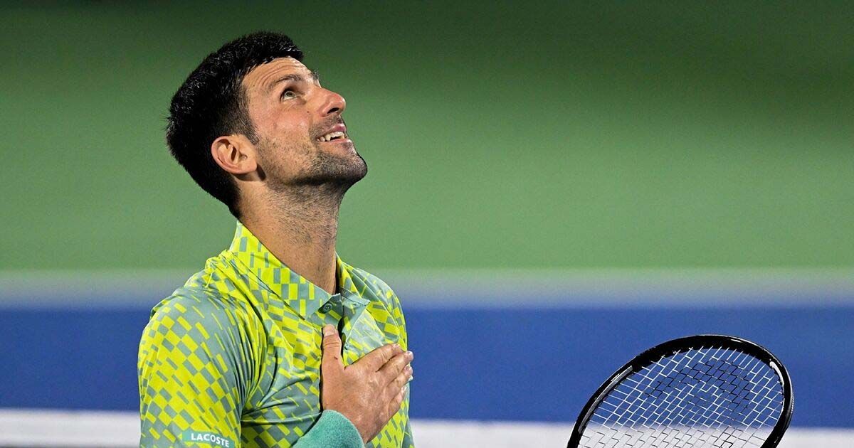 novak djokovic tennis sportstiger