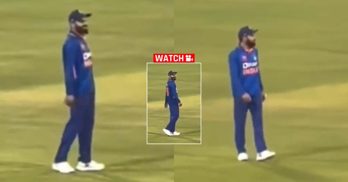 virat s reaction sportstiger